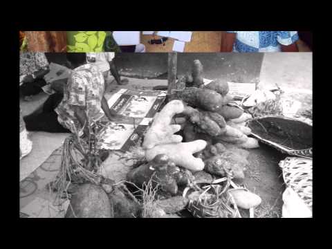 Reki Na Yaloqu Buli Ratu