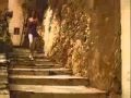 Nadodigal Songs Wmv