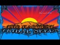 Tribal seeds mad man