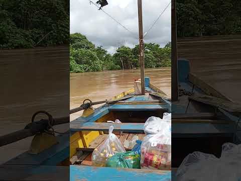 Enchente em Xapuri acre terra de Chico Mendes