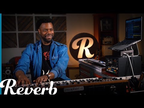 Synth Sounds Of... New Weekly Series Launches on March 15th | Reverb.com