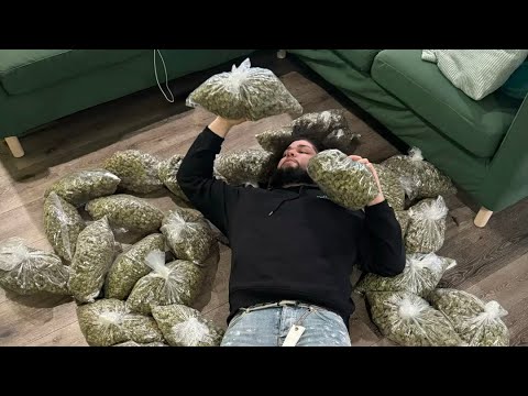 Backdoor x Cel x shakesum -By Da P (Audio)