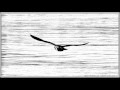 Наутилус Помпилиус - Одинокая птица 