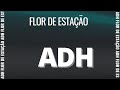 Anjos Do Hanngar Flor De Estação
