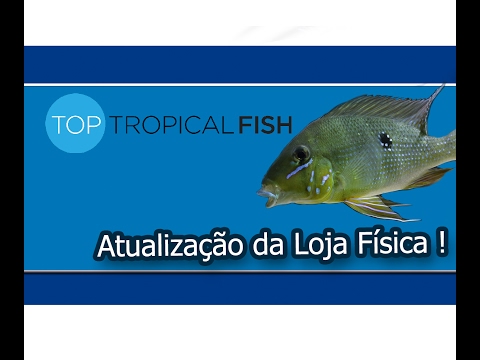 Top Tropical Fish - Atualização da Loja Física - 10/02/2017
