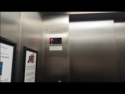 R&O Traction Elevator @ Mayo Memorial Building - C Wing - U of M - Minneapolis, MN