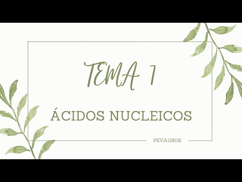 BIOLOGÍA SELECTIVIDAD. ÁCIDOS NUCLEICOS