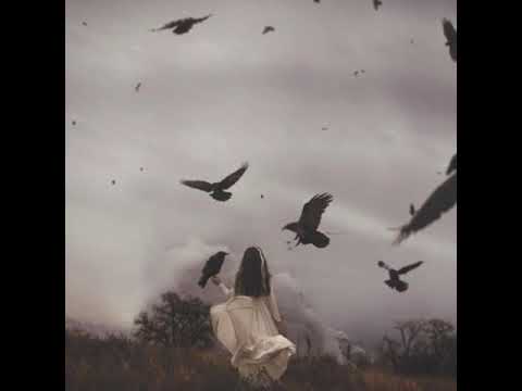 Must be the season of the witch🎃 Molly ft Audiomachine