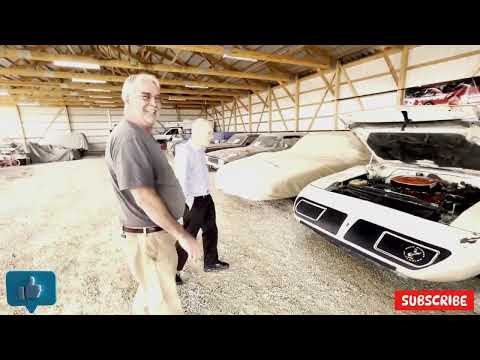 Parked for 35 Years! | The MOST INSANE Barn Finds Ever Discovered! | #BarnFind #ClassicCars