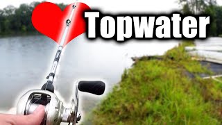 It's Official - I LOVE Topwater Bass Fishing (MUST TRY in Summer)