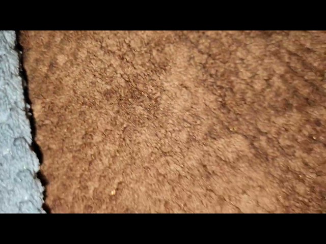 Vídeo relacionado con New Discount - Toalla de Playa o Toalla de baño (70 x 140 cm)