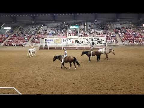 EhCapa Bareback Riders Aug 11, 2019