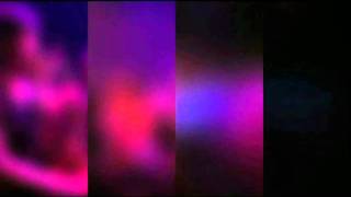 The Young Gods (Montreaux 2005) [01]. Lucidogen