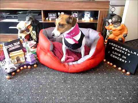 Mucki   3 Jahre + 33  Woche   rocks ''Rockin' waste of Time'' written and performed by Rebel Dean