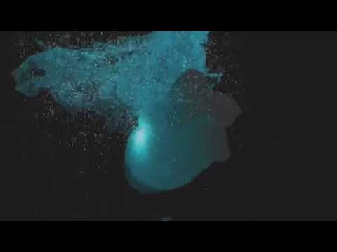 Alexander Johansson & Mattias Fridell - Blaenk - Recorded Things - Official Video