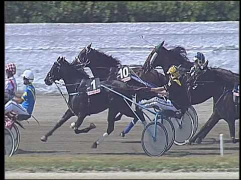 Trotto 11/06/2016 - 2° corsa