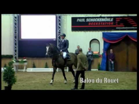 Schockemoehle Hengstkollektion 2014 Balou du Rouet deutsch