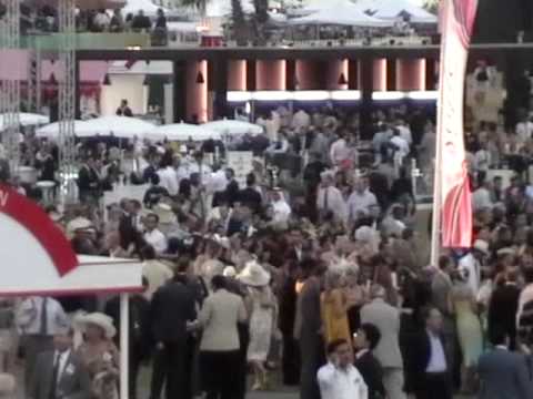 2009 Dubai World Cup