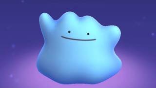 夏休み最終日なのでポケチャン