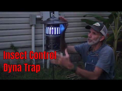 DynaTrap XL Review - Control the Insects on the Homestead