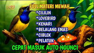 Download lagu Cepat masuk auto ngunci‼️Masteran sogon full isian mewah mp3