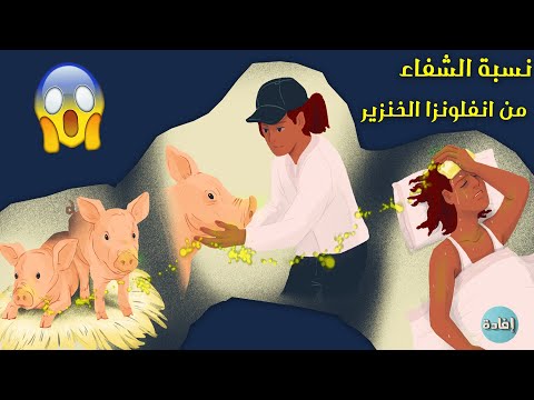 , title : 'نسبة الشفاء من انفلونزا الخنزير'