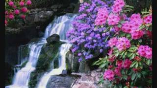 Aleluya (Roberto Carlos)