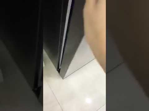 Жарища! Собачка в холодильнике