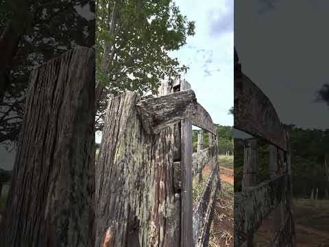 Treino leve fim de tarde # morrinhos go 