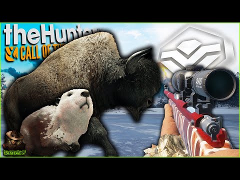 Hunting A Piebald Beaver & Diamond Wood Bison On Askiy Ridge Multiplayer! Call of the wild