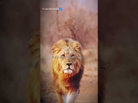 Speak🔥🔥 Motivational qoute AZA MOTIVATION #motivation #shorts #youtubeshorts