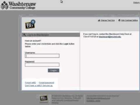 Logging In To Blackboard 9
