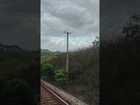 Final de tarde minério carregado NCL 1256 aguardando cruzamento no entre Pátio P1-07 e P1-08