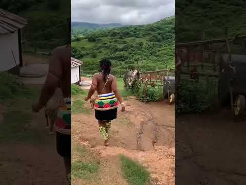 #proudlysouthafrican #zulu #maiden