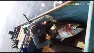 preview picture of video 'Pertarungan melawan si monster laut banda yellowfin tuna'