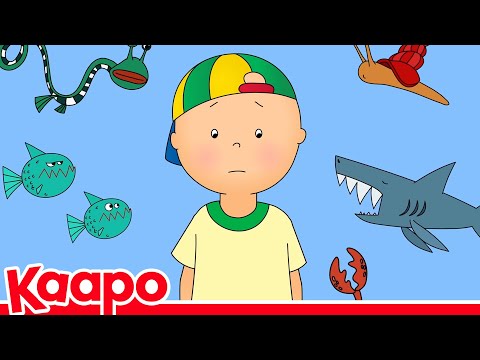 Mitä Kaapo löytää rannalta? | Kaapo