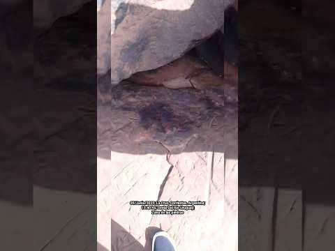 🇦🇷5/Junio/2023; La Cruz, Corrientes, Argentina; 13:40 hs; Costa Del Río Uruguay; Zona de las piedras