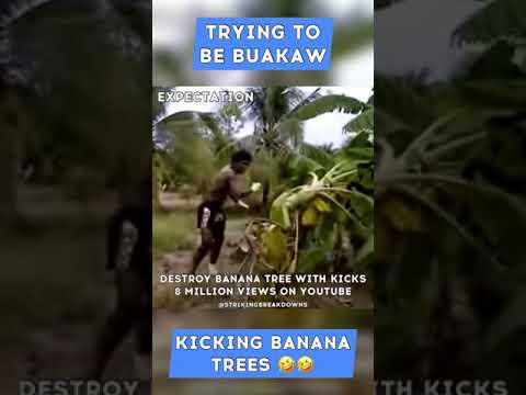 Buakaw Kicking Banana Trees Reality vs Expectation 🤣 #shorts