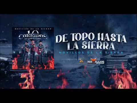 Novillos De La Sierra -  3. De Tope Hasta La Sierra [Audio Oficial]