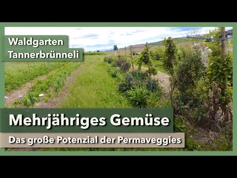 Mehrjähriges Gemüse im Waldgarten - Geniales Projekt | Waldgarten Tannerbrünneli | Rundgang 1 | 2023