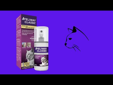 Before You Buy FELIWAY Cat Calming Pheromone Spray