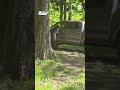 Vermont man scares off bear opening truck door - Video