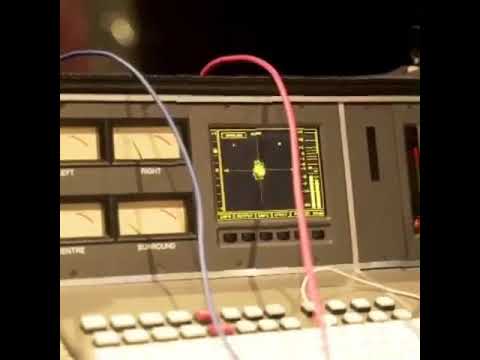 Los Angeles Davido did the most incredible thing ever #risky #davido #peruzzi