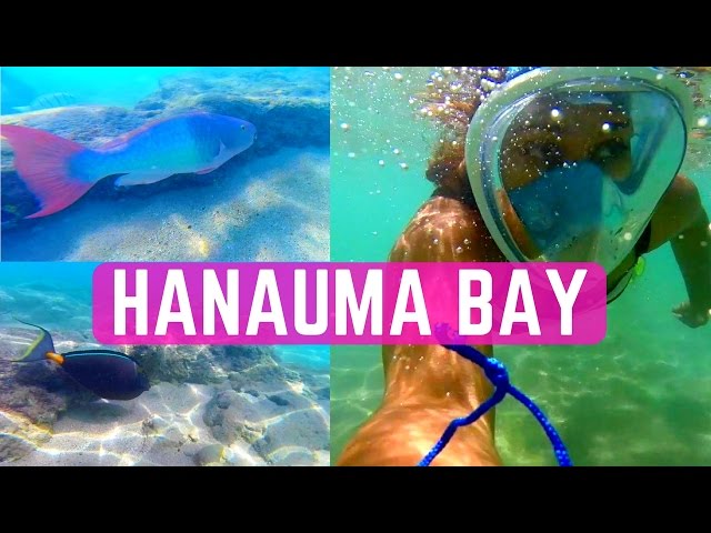 Hanauma Bay Snorkeling in Honolulu Hawaii - Best Snorkel In Oahu Hawaii