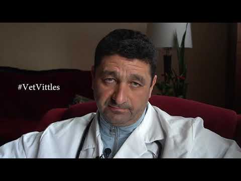 Relationships between “Adequate” and “Natural” terms. Written by Efroim Gurman