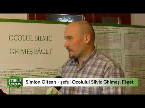 La Bacău, chiar au grijă de păduri 01 04 2021