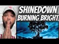 MY GOODNESS!| FIRST TIME HEARING Shinedown  - Burning Bright REACTION
