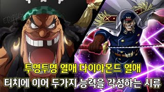 [원피스 분석]투명투명 열매 다이아몬드 열매 티치에 이어 두가지 능력을 각성하는 시류