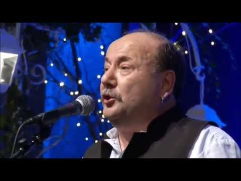 Klapa Puntamika - Tija bi te svojom zvat (MGNZ 2014)