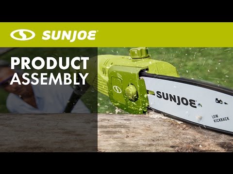 SWJ802E - 8-Inch 6.5 AMP Adjustable Head Electric Pole Chain Saw - Let's Open the Box